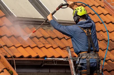Démoussage et hydrofuge de toiture à Richardais
